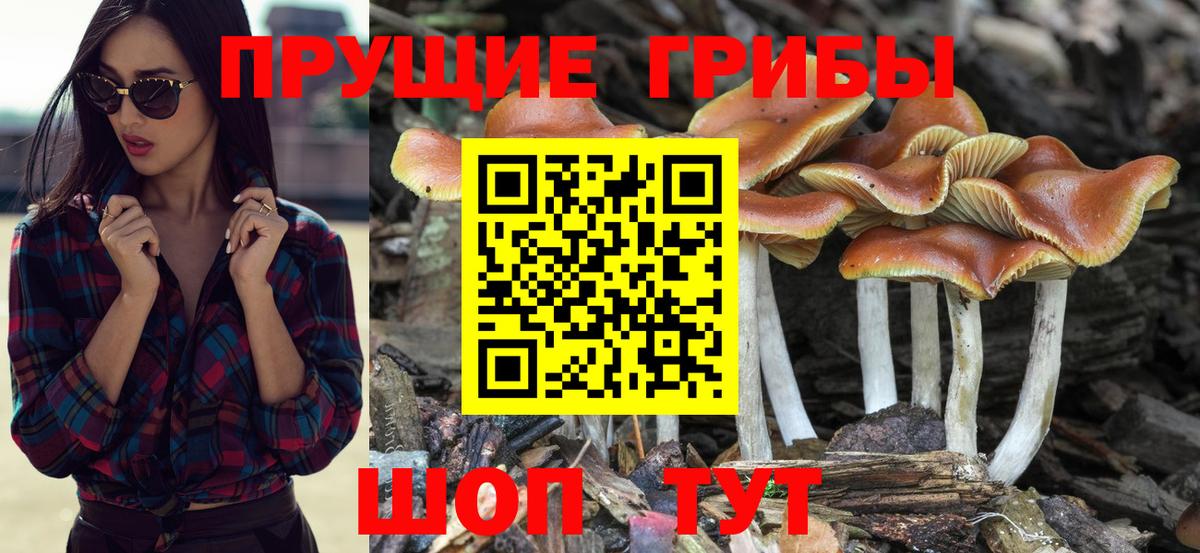 Галлюциногенные грибы GOLDEN TEACHER Нягань